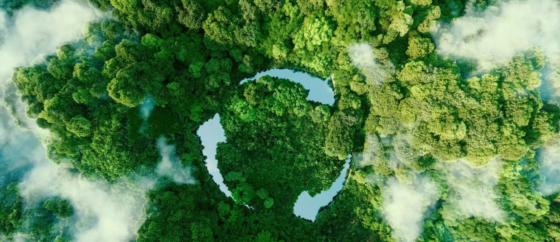 Custom Flexible Packaging Manufacturer- Sustainable Packaging Solutions(5)