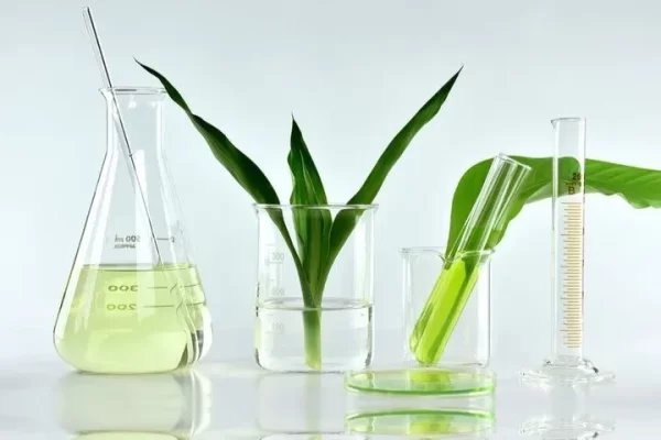 Sustainable Packaging Solution-Cosmetics Packaging